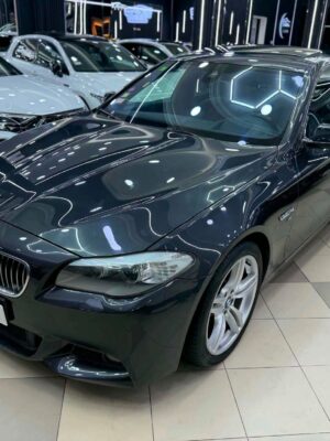 Bmw Serie 5.28I F10 Pack M