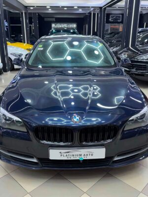 Bmw Serie 5.20d F10